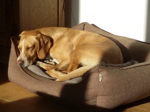 1 cid 33460139 25E4 4AB2 8DE1 73635F066B49fritz