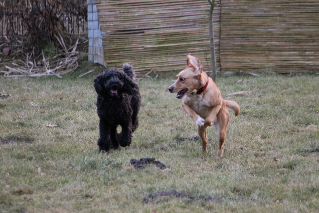 1 cid BD24BAF6 679E 4A8A B81E 57A8748D8FB7fritz