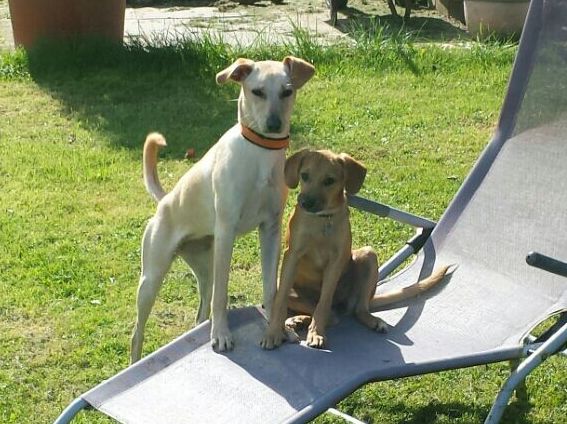 1 IMG 20160817 WA0000