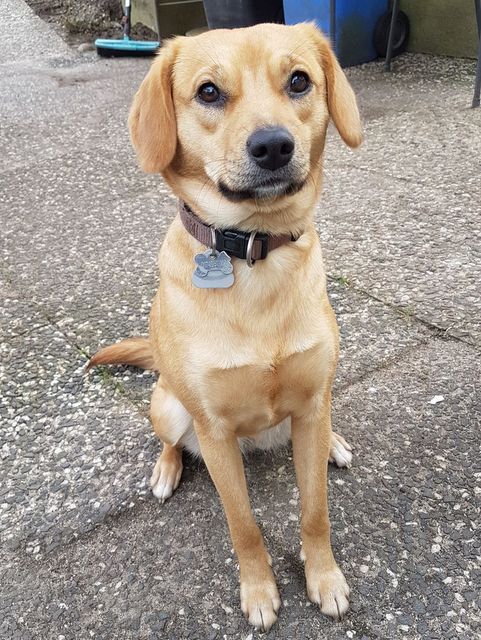 1 IMG 20170403 WA0007