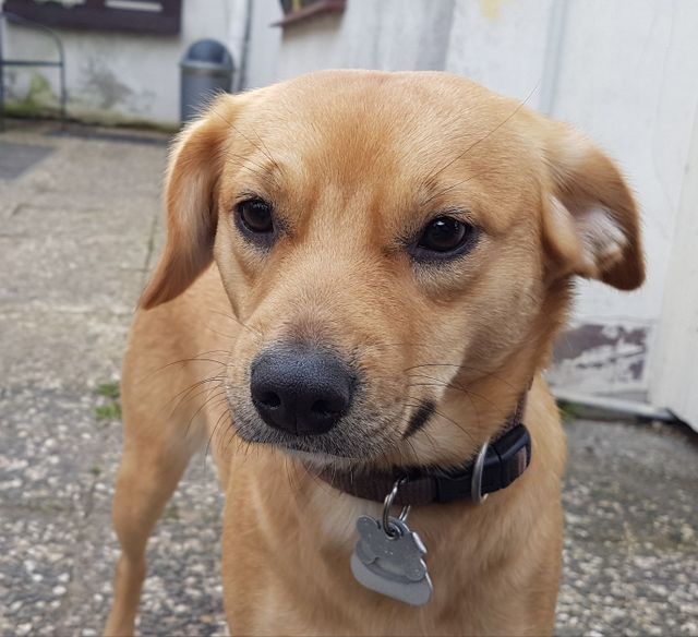 1 IMG 20170403 WA0009