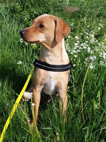 1 18557332 750442638460370 2979134395429738556 n