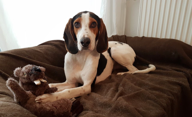 WhatsApp Image 2017 12 27 at 19.37.29