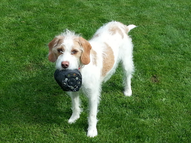 1 20170525 170939 001