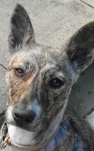 1 20160825 145700 1 1