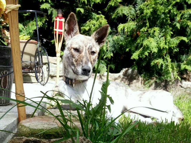 1 IMG 20160820 WA0007 1