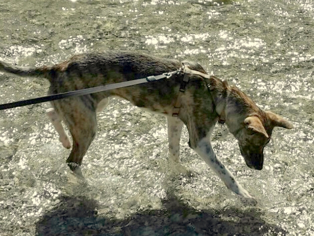 1 IMG 20160914 WA0003 1