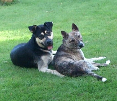 IMG 20160815 WA0000 1 1