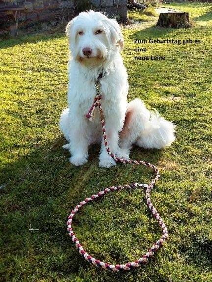 1 20161229 112343 Kopie