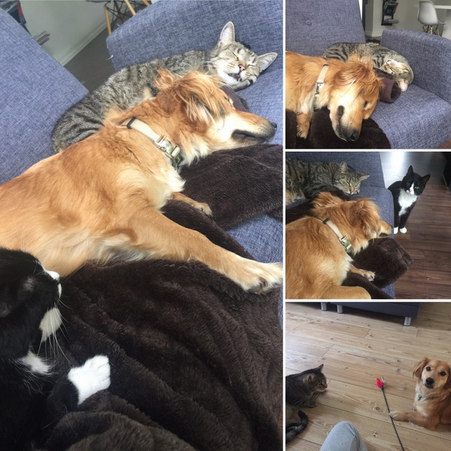 1 493A3F85 911C 49FA A29A 1C7B224B85D3