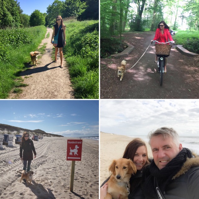 1 777AB0F1 CA4F 47FA B6A0 EF3268526B23