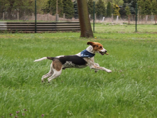 1 IMG 20170416 WA0003