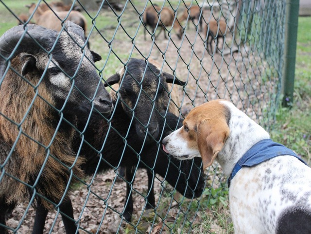 1 IMG 20170416 WA0004