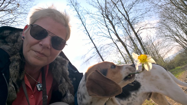 1 WP 20170404 16 34 15 Pro