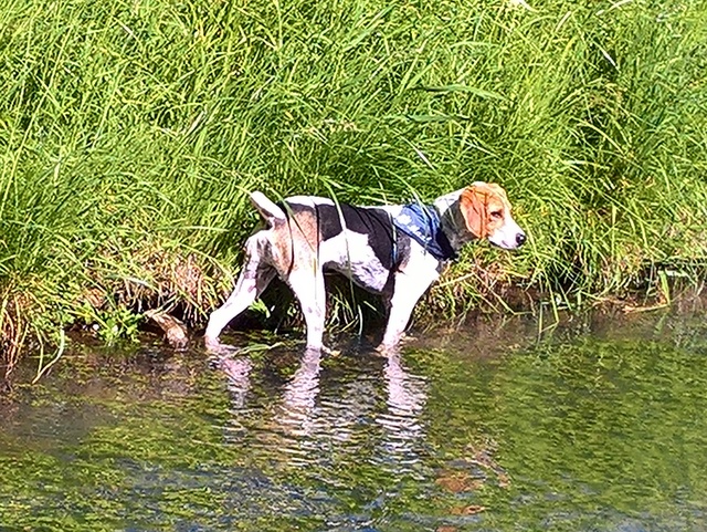 1 WP 20170601 16 07 57 Rich