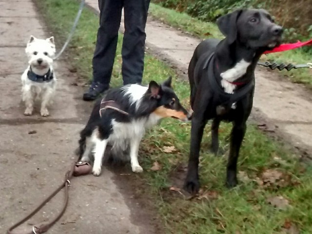 1 IMG 20161215 WA0014