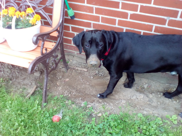 1 IMG 20160702 141341