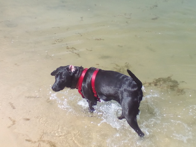 1 IMG 20160729 122650