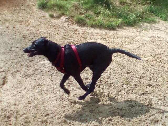 1 IMG 20160729 122901