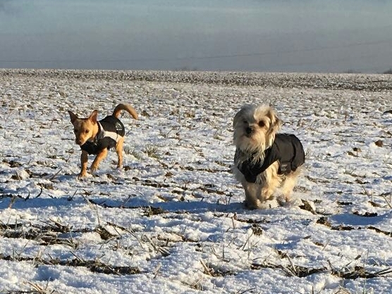 1 IMG 20170125 WA0035