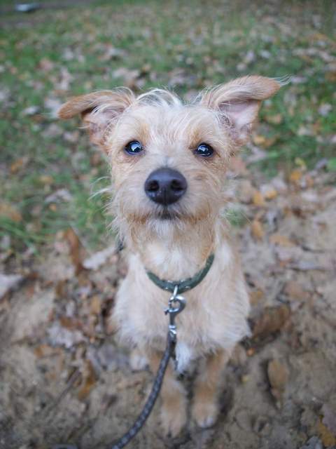 1 FB IMG 1490098580535