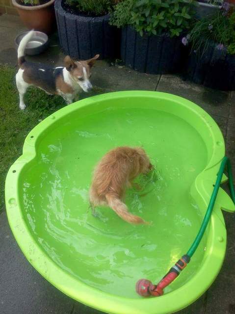 1 FB IMG 1490125615856