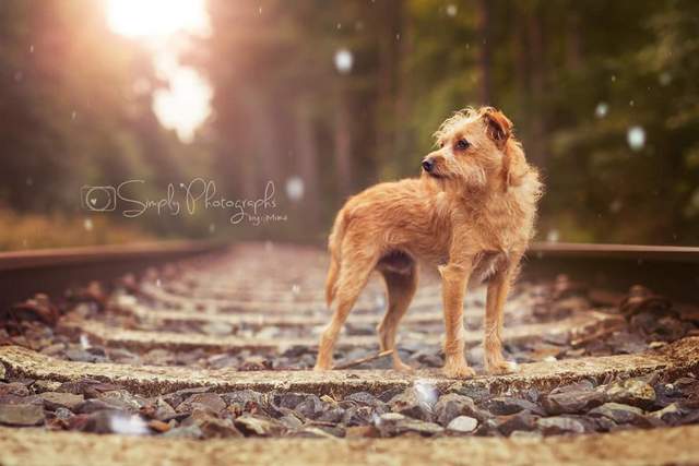 1 FB IMG 1490127681560