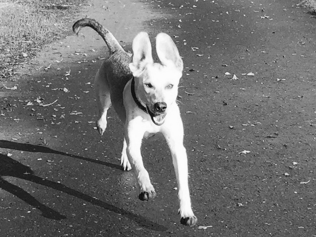 1 cid EE3F35EF 6078 4EAC 9F39 008