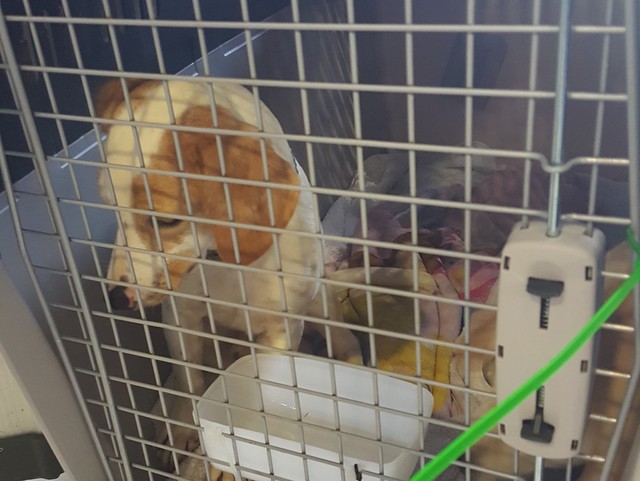 1 Ankunft Airport 001