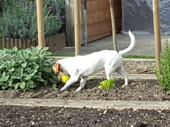 1 Im Schrebergarten 2