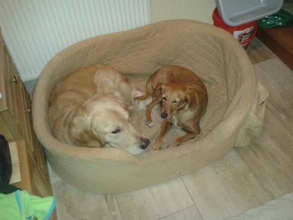 1 IMG 20150824 WA0005