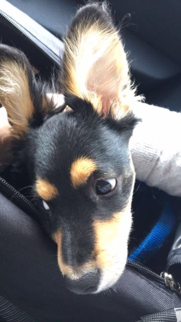 1 IMG 20170507 WA00101