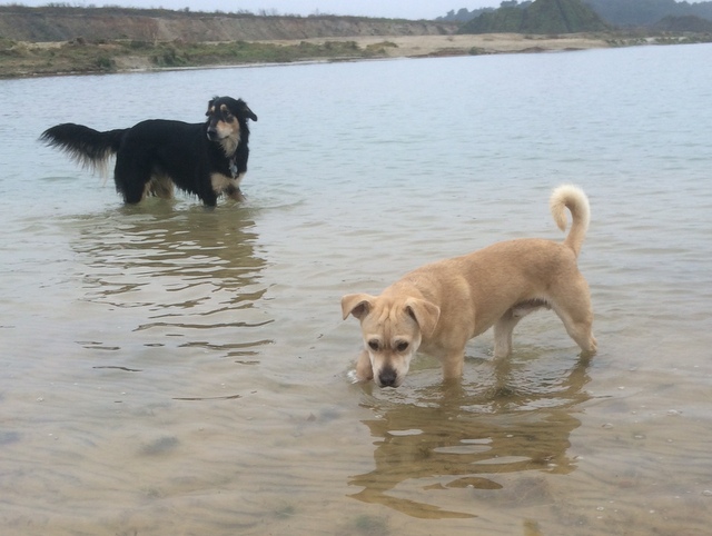 1 cid 081F23EF A98E 4B1E 9E87 76FE77FC24D0