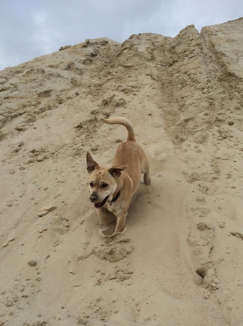 1 cid 2DAB0439 CE06 4517 96FF AA98537375B1