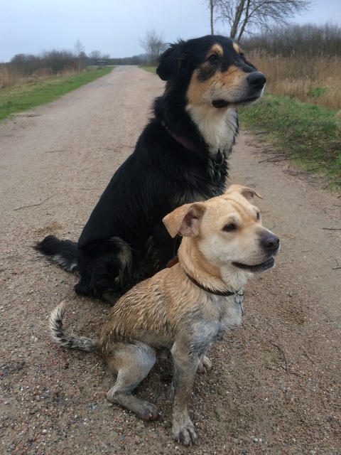 1 cid 6EDD8E1F 68A6 47CF B287 9FE8C36FA5D8