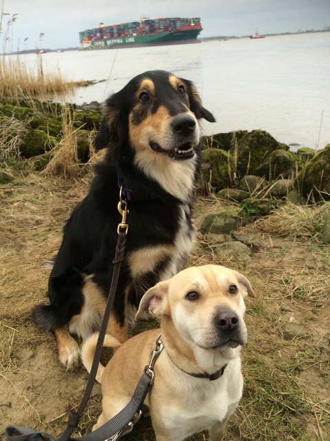 1 cid B0D3E9EE 41BA 4CB1 9093 FC20788BE075