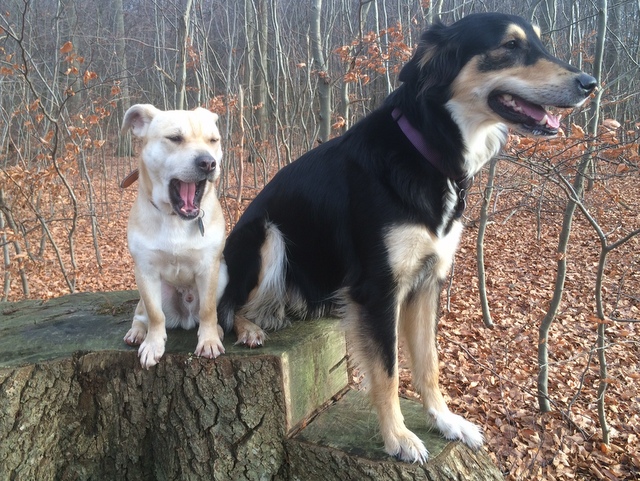 1 cid D2022ACE EF99 47E2 96BF C4E615FB694E