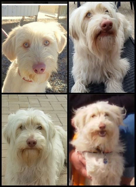 1 IMG 20160929 WA0001