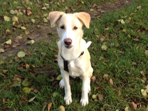 1 cid FAE6CA07 8990 4413 A37F 5AEB6CAD78B4Speedport W 724V Typ A 05011603 00 009