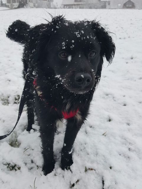 1 IMG 20160315 WA0001