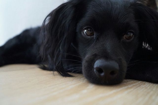 1 IMG 20161019 WA0005