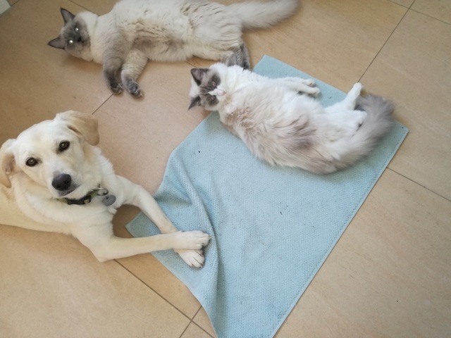 1 IMG 20171115 094415