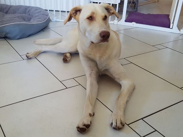 1 IMG 20170527 WA0022