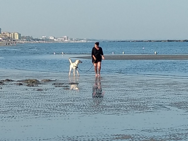 1 IMG 20170922 171130368