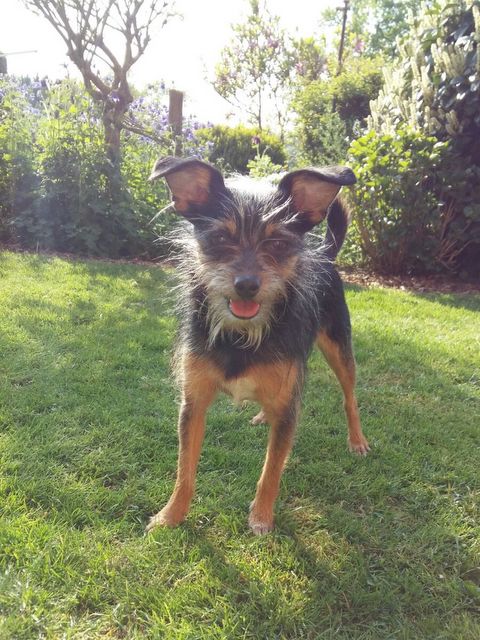 1 IMG 20160511 WA0000