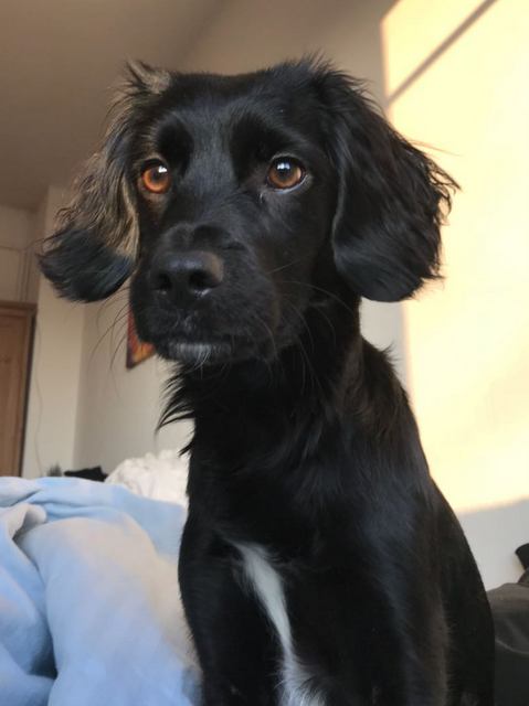 1 IMG 20180114 WA0001