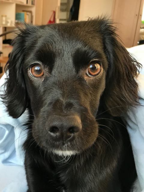 1 IMG 20180114 WA0005