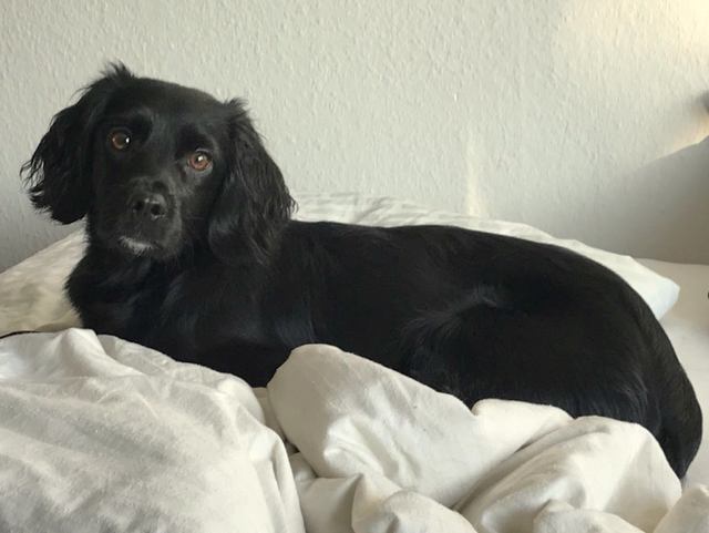 1 IMG 20180114 WA0006