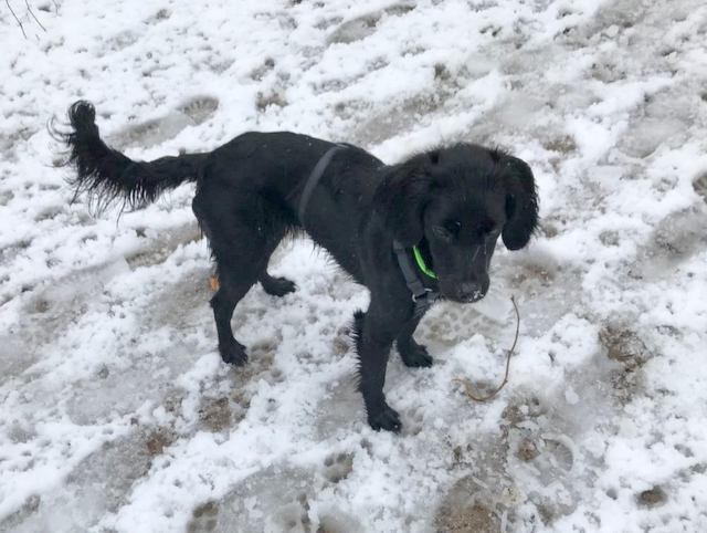 1 IMG 20180118 WA0009