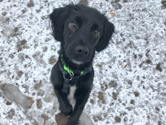 1 IMG 20180118 WA0017